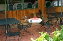IMG_4096.JPG