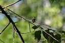 IMG_4516.JPG