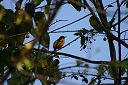 IMG_4527.JPG