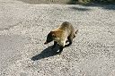 IMG_4712.JPG