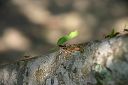 IMG_4721.JPG