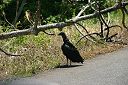 IMG_4758.JPG