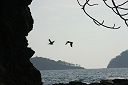 IMG_4784.JPG