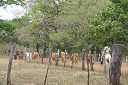 IMG_5048.JPG