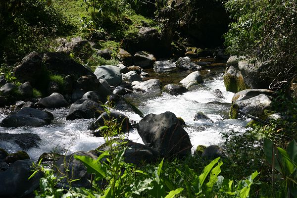 IMG_4186.JPG