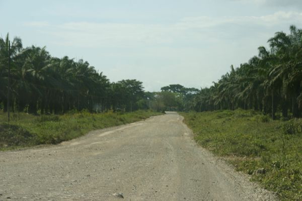 IMG_4342.JPG