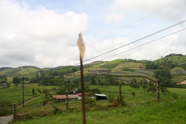 IMG_4599.JPG