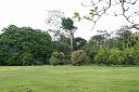 IMG_3427.JPG