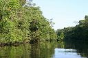 IMG_3551.JPG