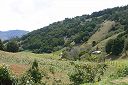 IMG_4057.JPG