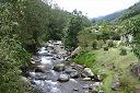 IMG_4131.JPG