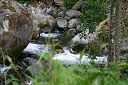 IMG_4172.JPG