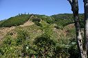 IMG_4179.JPG