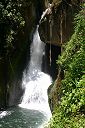 IMG_4221.JPG