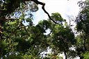 IMG_4249.JPG