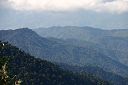 IMG_4259.JPG