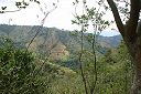 IMG_4591.JPG