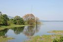 IMG_4734.JPG