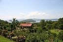 IMG_4740.JPG