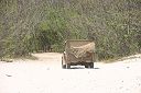 IMG_4868.JPG