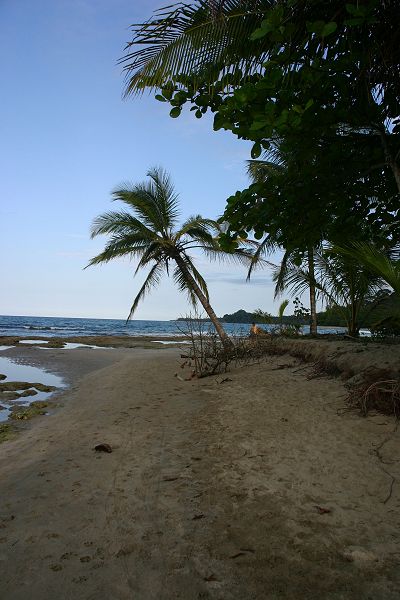 IMG_3742.JPG