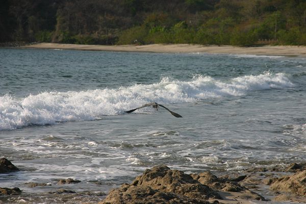 IMG_4788.JPG