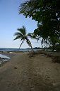 IMG_3742.JPG