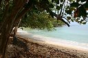 IMG_3789.JPG