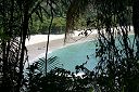 IMG_4494.JPG