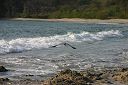 IMG_4788.JPG