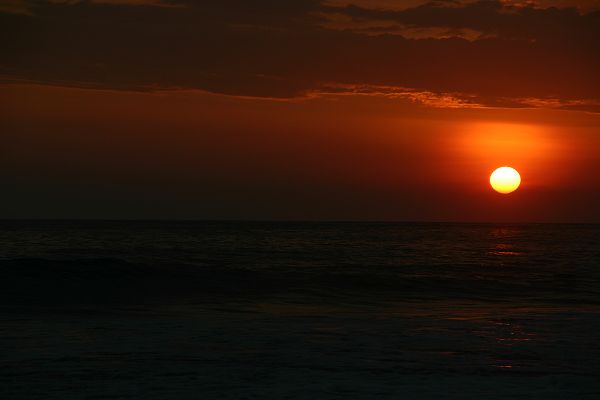IMG_4425.JPG