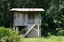 IMG_3919.JPG