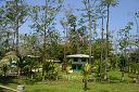 IMG_3939.JPG
