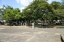 IMG_4284.JPG