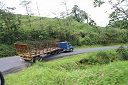 IMG_4600.JPG